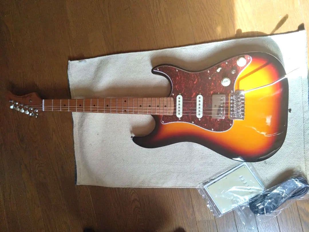 Bacchus GS-2DX RSM/R ステンレスフレット 美品