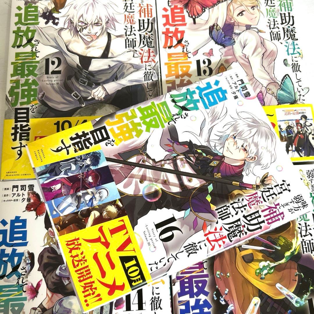 味方が弱すぎて、補助魔法に徹していた宮廷魔法師、追放されて最強を目指す 1〜17