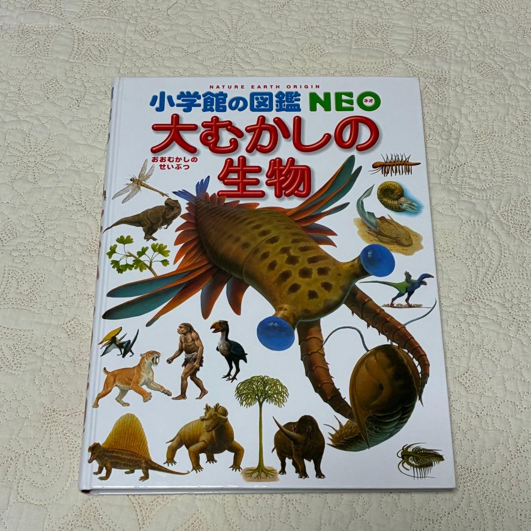 【即日発送】美品 ネオ図鑑 まとめ売り おすすめ 幼児 小学生 10冊セット