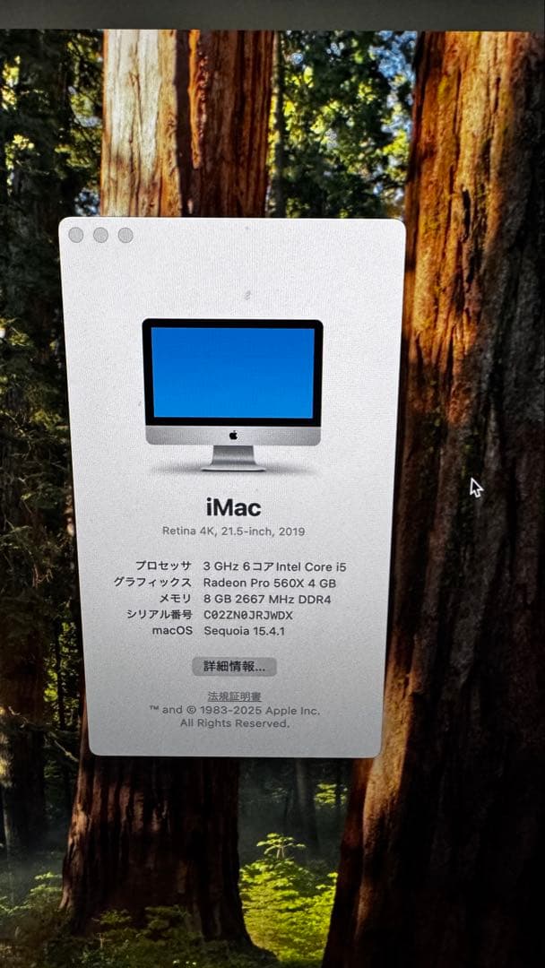 Apple iMac 2019 Retina 4K 21.5インチ　動作品