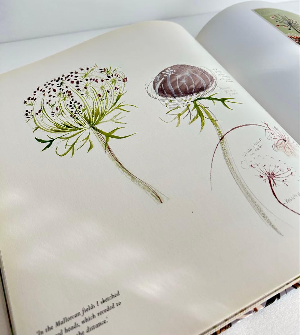 【希少】 アートブックPlants and Places 洋書