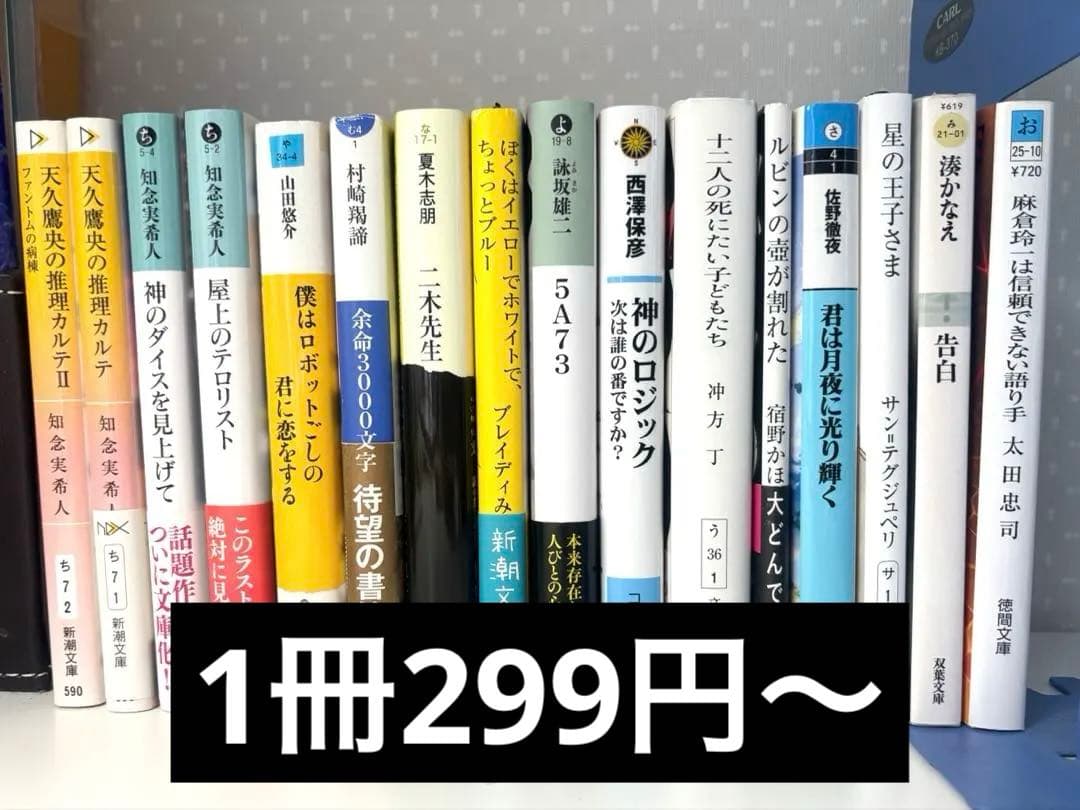 小説 まとめ売り 1冊299円～