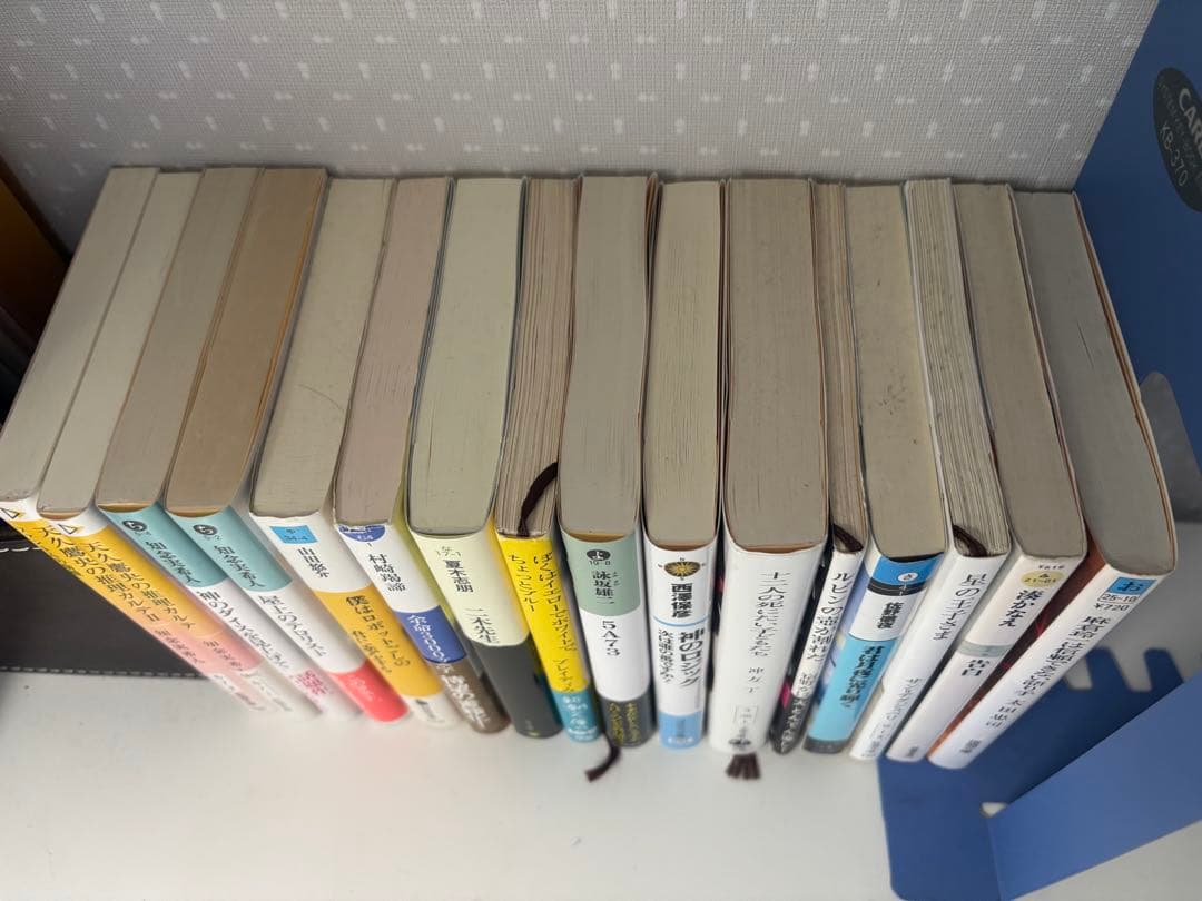 小説 まとめ売り 1冊299円～
