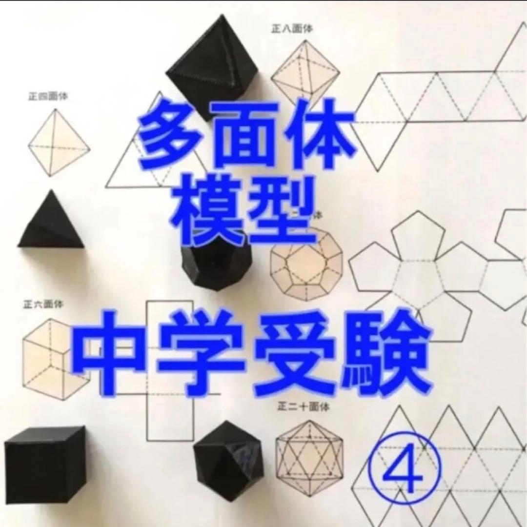しじみ　立体の切断模型 ①②③④⑤⑥⑦⑧⑨⑩セット