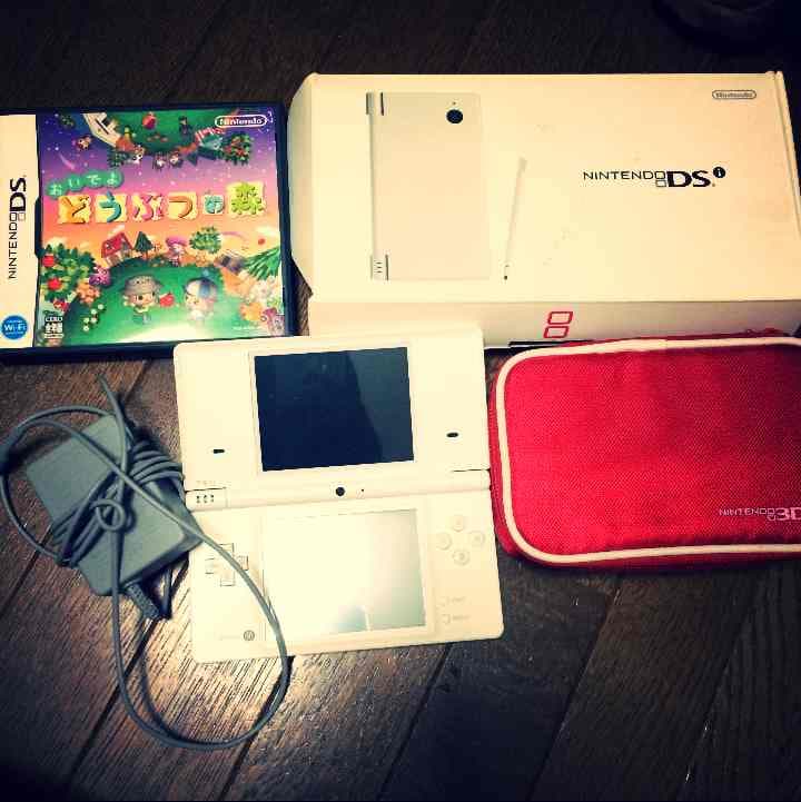 ニンテンドーDSとケースとどうぶつの森