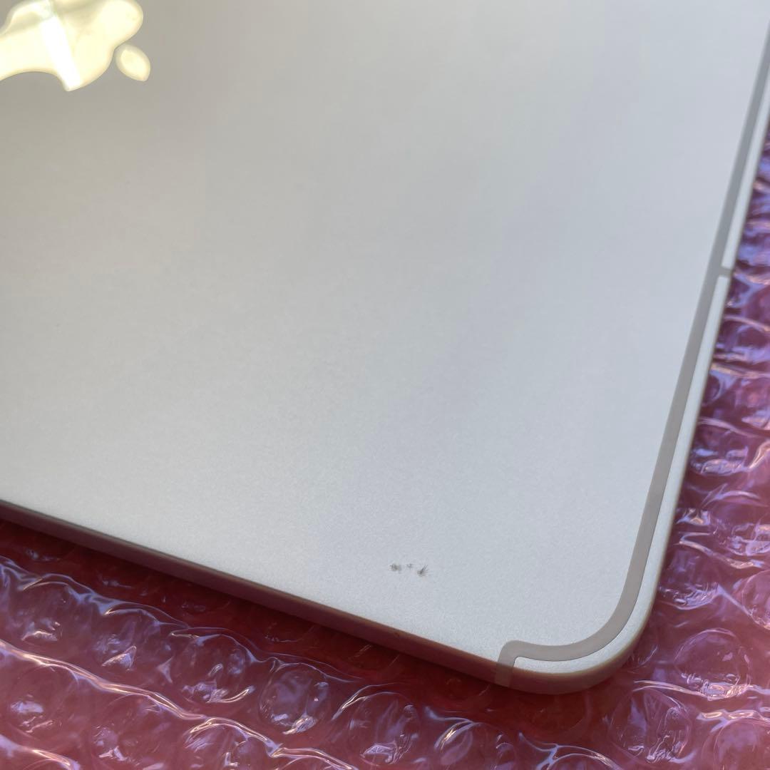 iPad Pro 11インチ　第2世代　Wi-Fi+Cellular 美品　#3