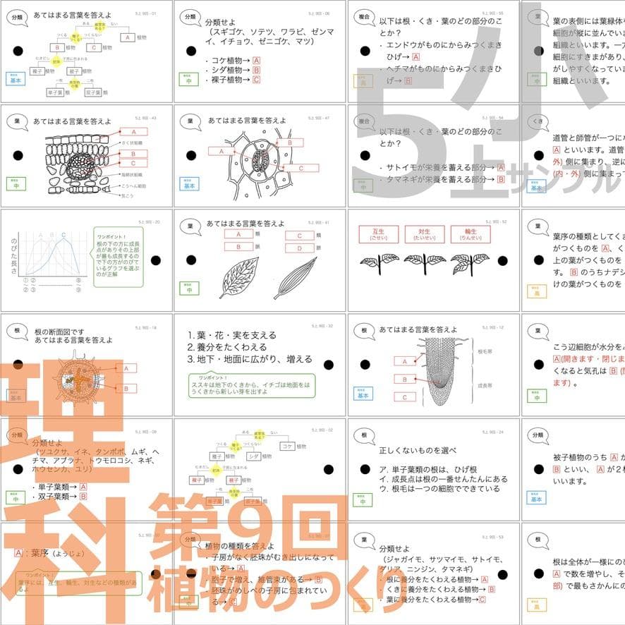 中学受験 暗記カード【5年上 理社国6-9回】 予習シリーズ 組み分け対策