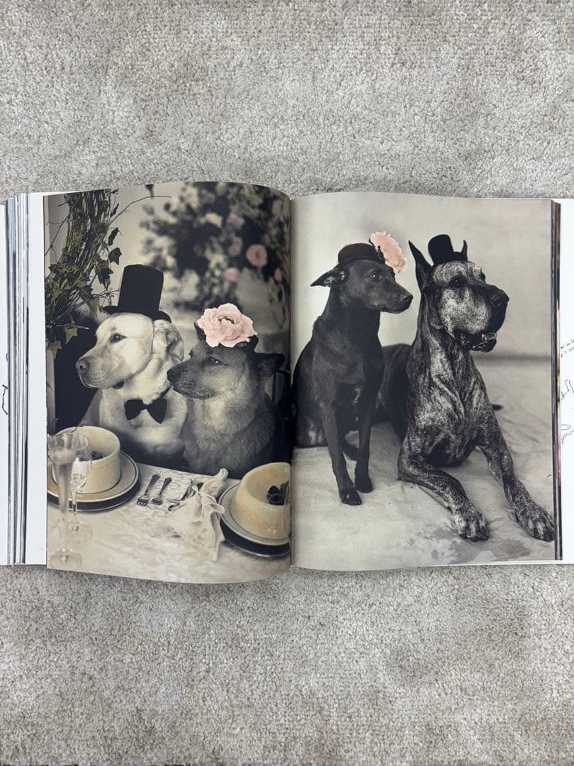 洋書 BLOOD SWEAT AND TEARS / BRUCE WEBER
