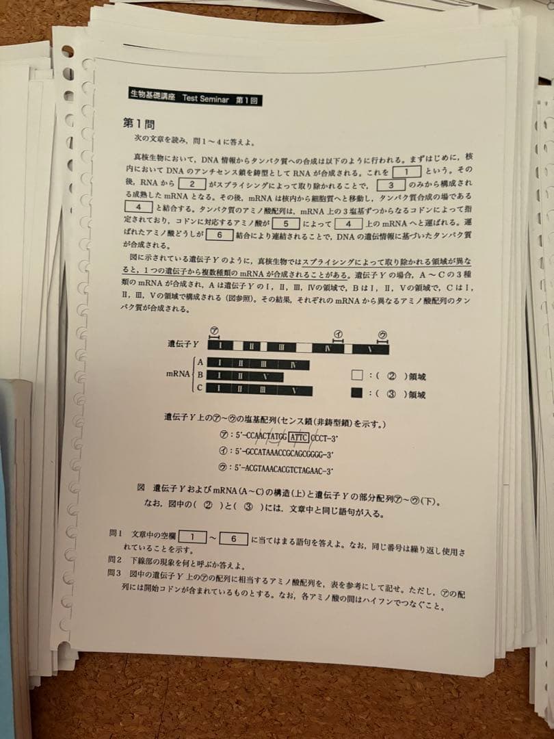 ぜ*屋様 鉄緑会高二生物一式