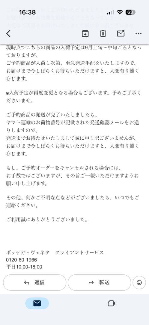 BOTTEGA VENETA ザ・パデッド ホールドオール
