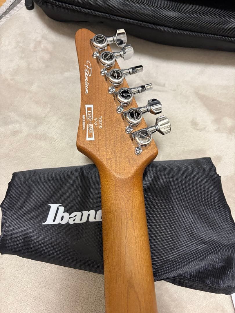 【美品】Ibanez TOD10 ソフトケース付き