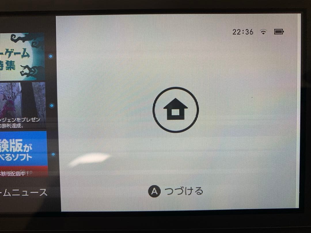 Switchライト　本体　ジャンク品