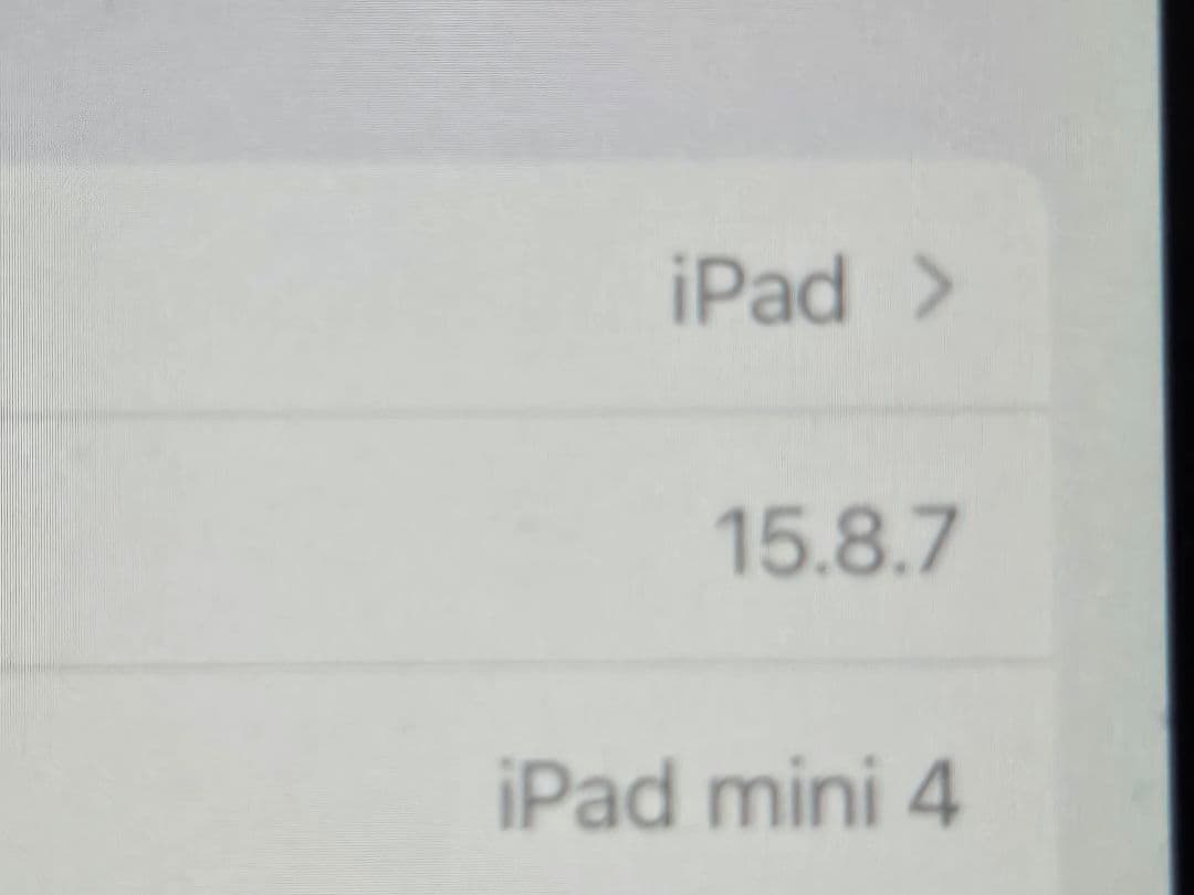 iPad mini4 cellular 16GBスペースグレー本体
