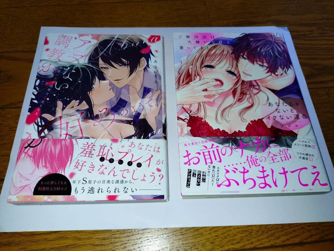 TL まとめ売り　18冊