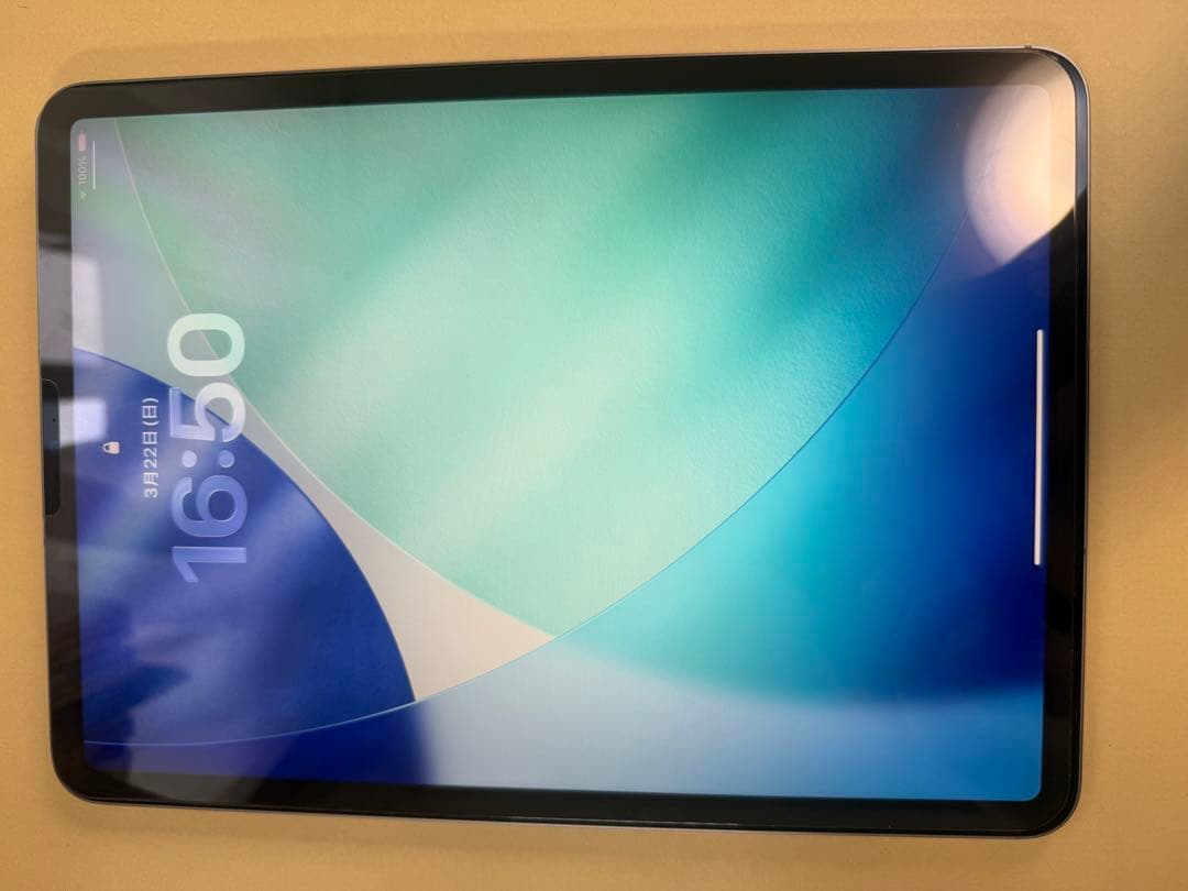 極上iPad Pro11インチ 第4世代256GB wifi+cellular