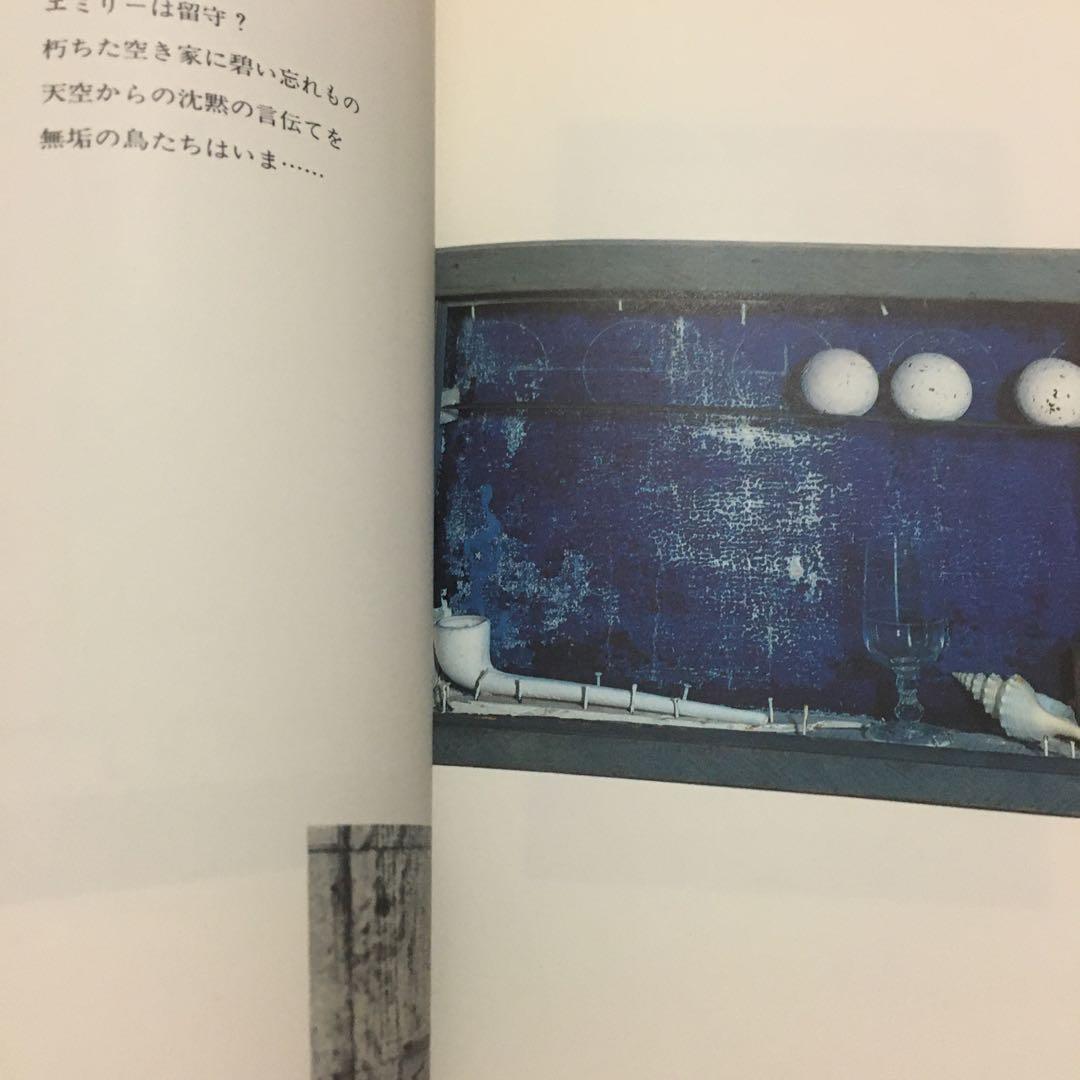 ジョセフコーネル　1978年　カタログ