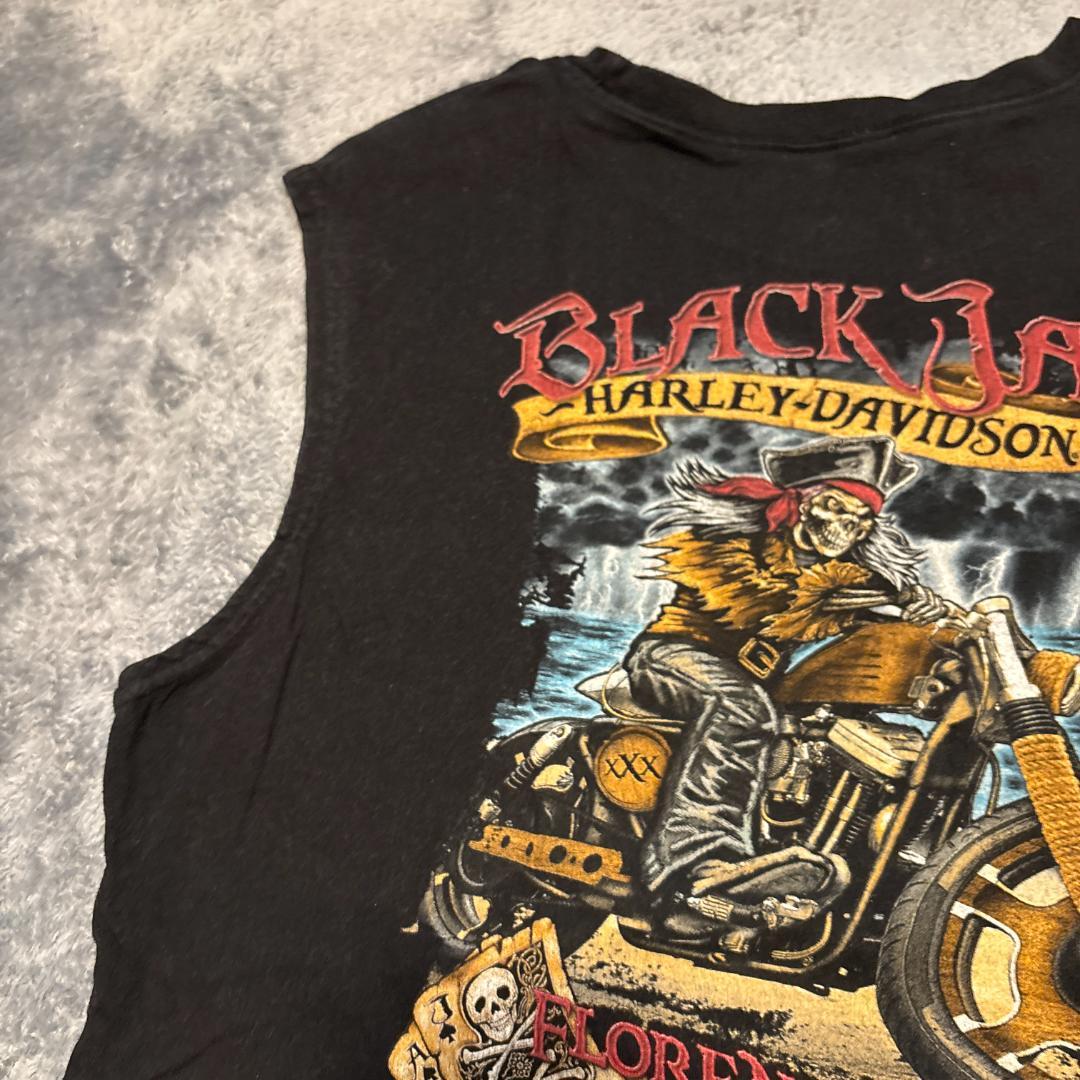HARLEY-DAVIDSON　2014年製　ノースリーブ　L 大地
