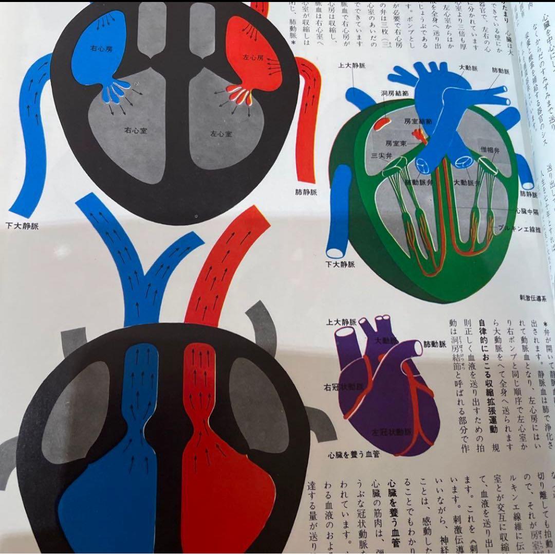 講談社版 新家庭百科事典 1巻～8巻 セット売り 激安！！