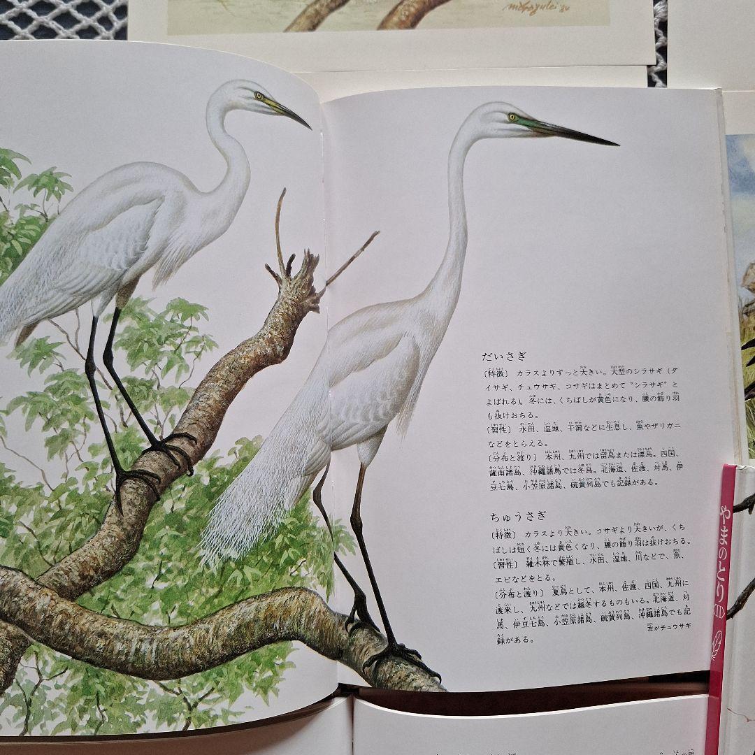 福音館 日本の野鳥 6冊セット 箱入り おまけ付 美品 薮内正幸