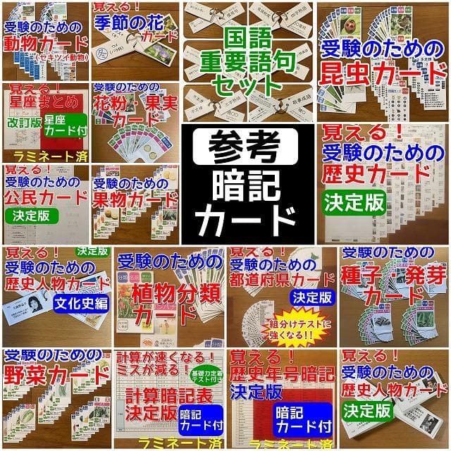 ✨95000円➡59000円✨【～3/1期間限定特価】社会全部入り