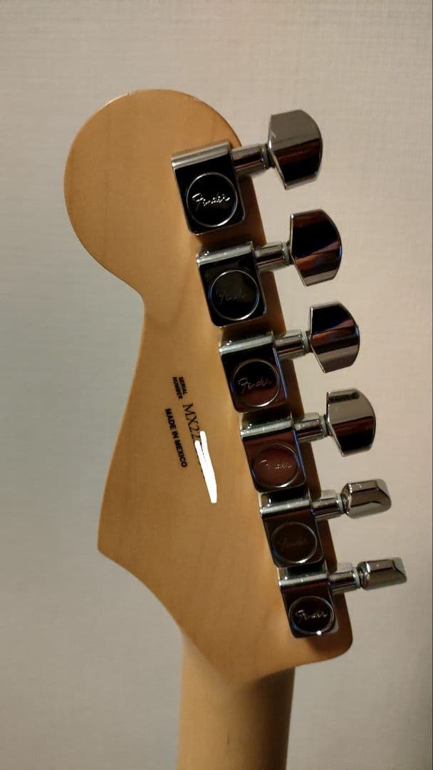 ギター Fender Player Stratocaster Plus Top