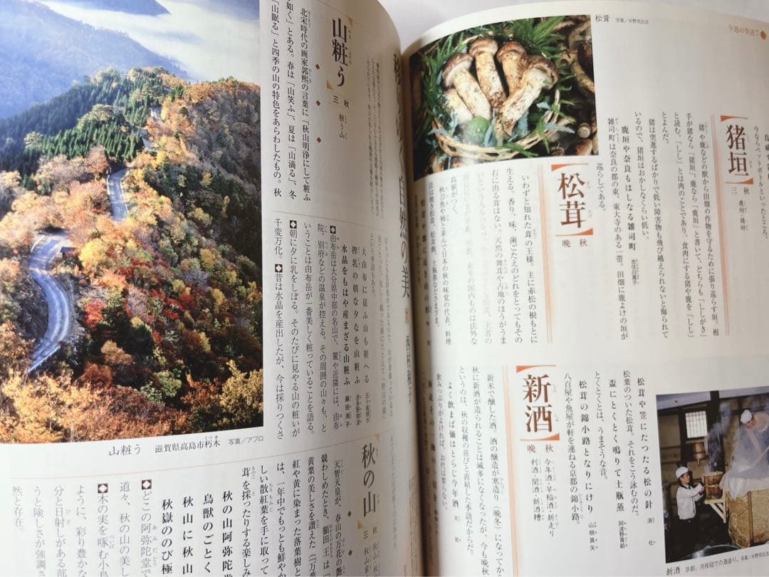 週刊　日本の歳時記　全50冊コンプリート　小学館
