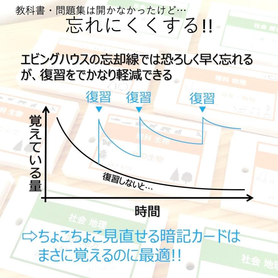 中学受験 暗記カード【6年上 社会 10-17回】予習シリーズ 組分け