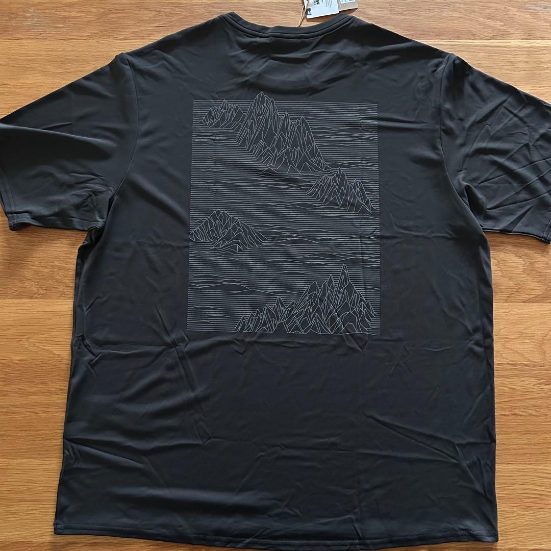 D*T様 完売カラー新品　パタゴニア キャプリーンクールデイリーグラフィックシャ