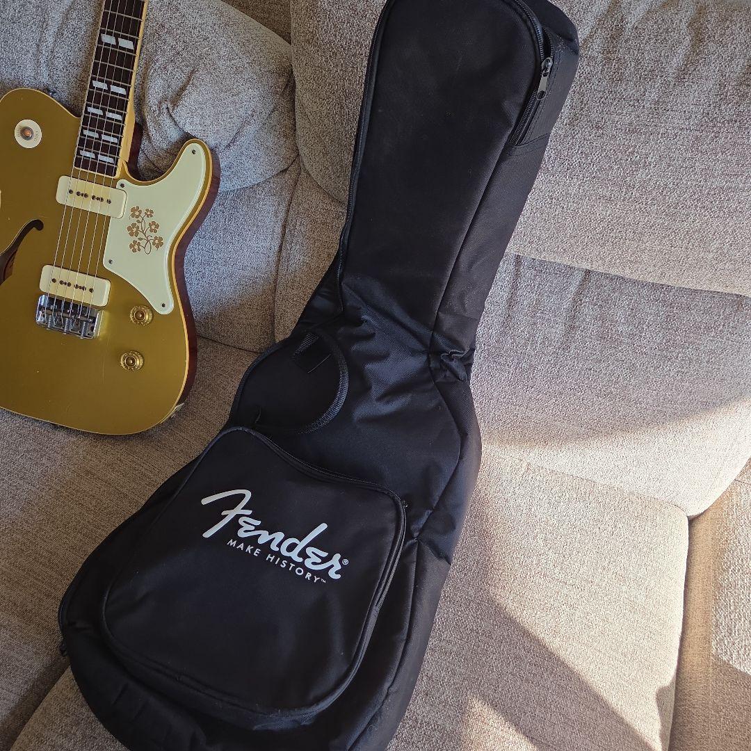 ギター BRUNO GUITARS TN-295