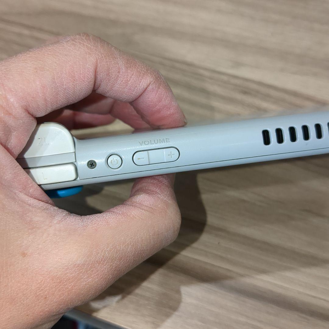Nintendo Switch Lite ザシアン　ザマゼンタ