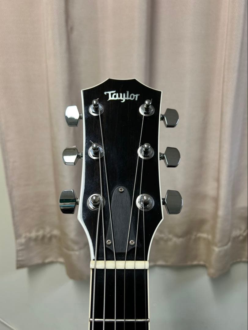 [希少品付き] 2012年製 Taylor T5 S1