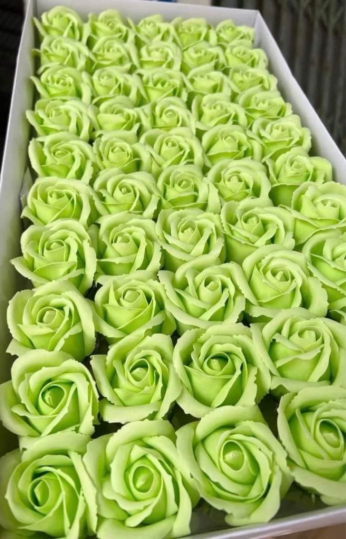 チューリップの花束 お誕生日 ・記念日 プレゼント