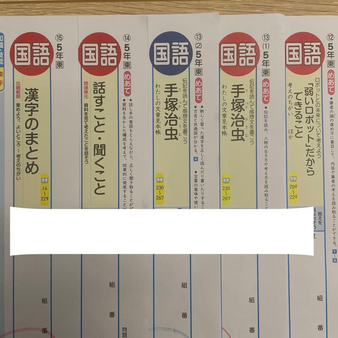 小学5年 国語　カラーテスト　令和7年度 　最新版　青葉出版　東京書籍　欠番なし