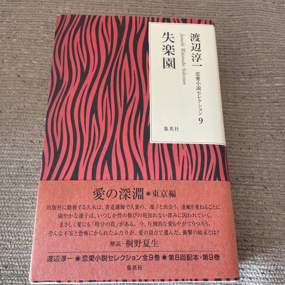 渡辺淳一　恋愛小説セレクション　全9巻