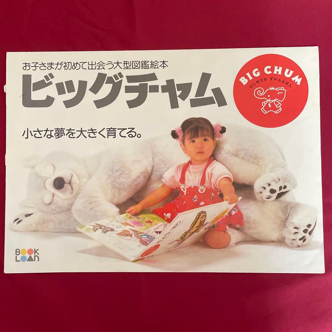 ブックローン　BIG絵本3冊セット