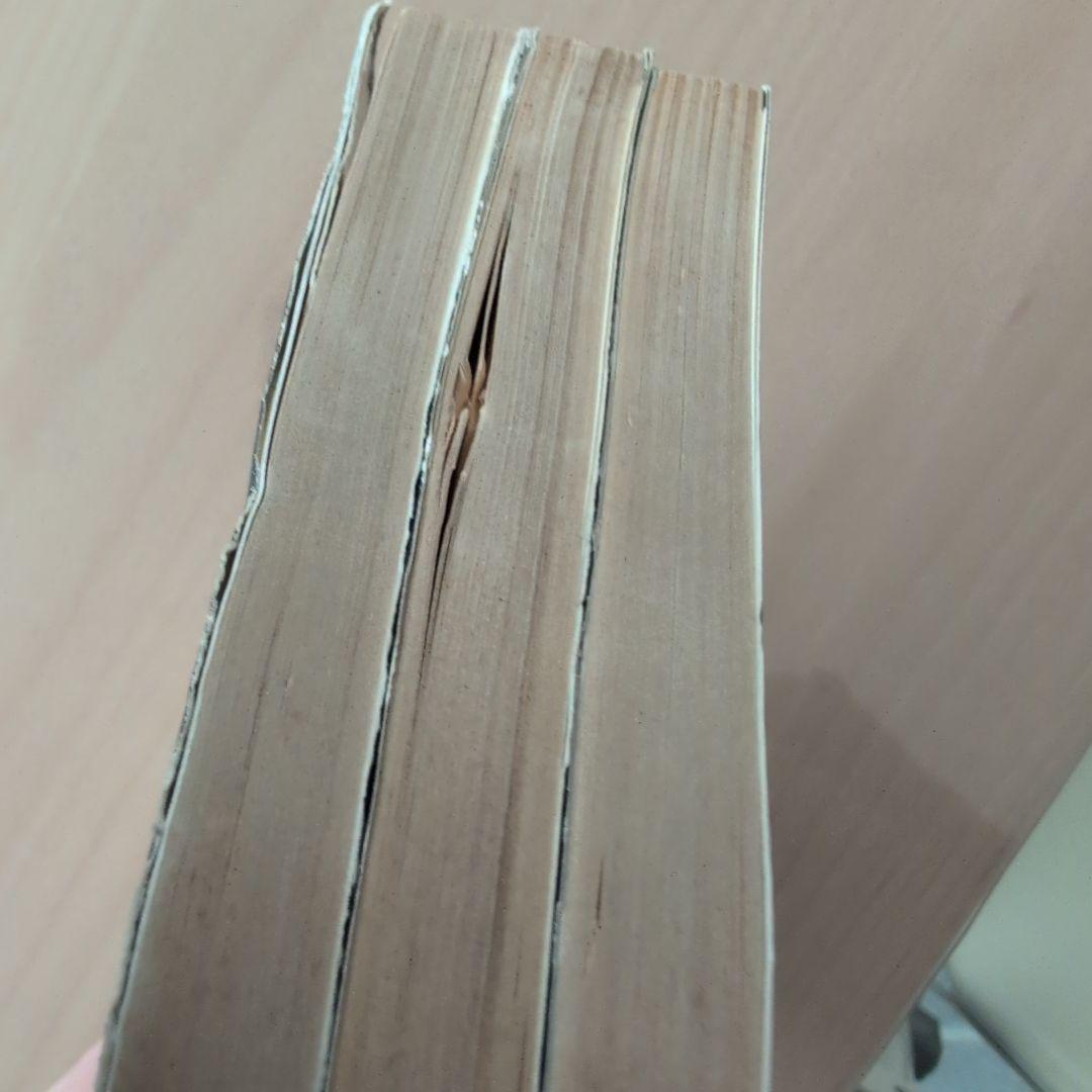 ジャングル大帝 全巻セット 1-3巻