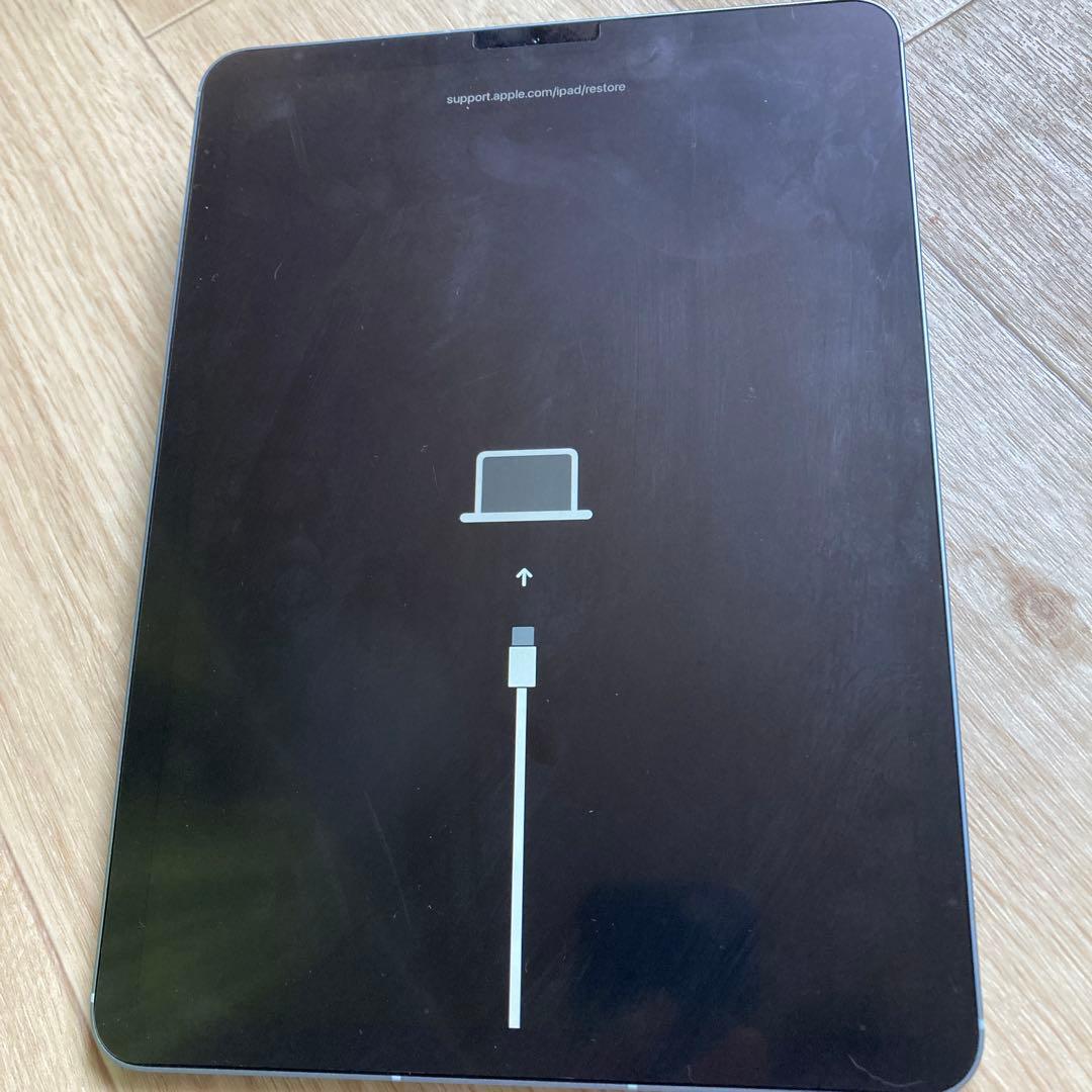 カマキリジャンク品iPad Air4 256G