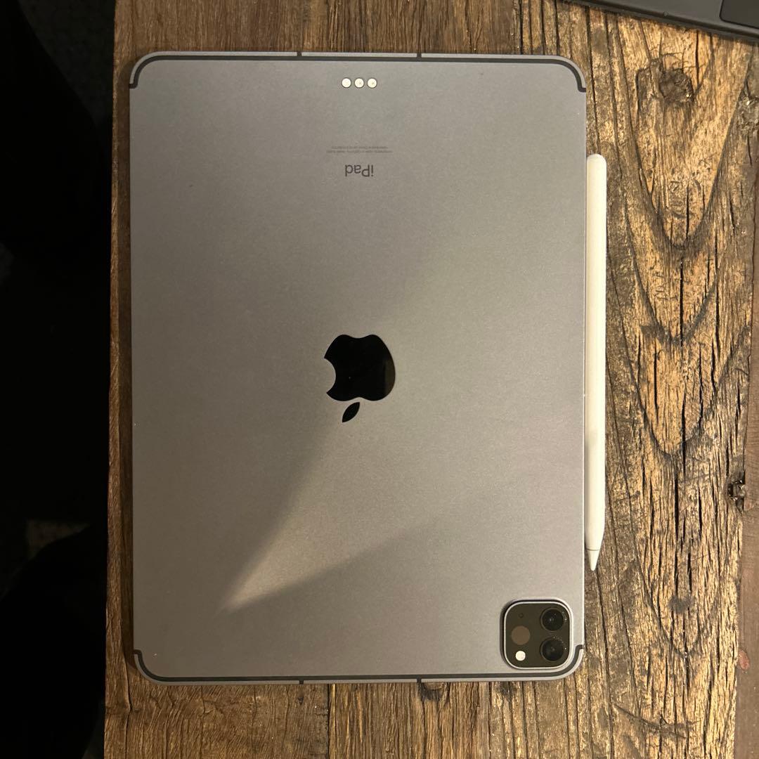 iPad本体 M1 iPad Pro (11-inch) 256GB cellular