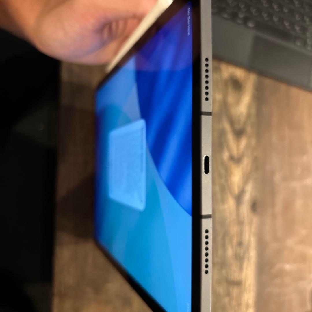 iPad本体 M1 iPad Pro (11-inch) 256GB cellular
