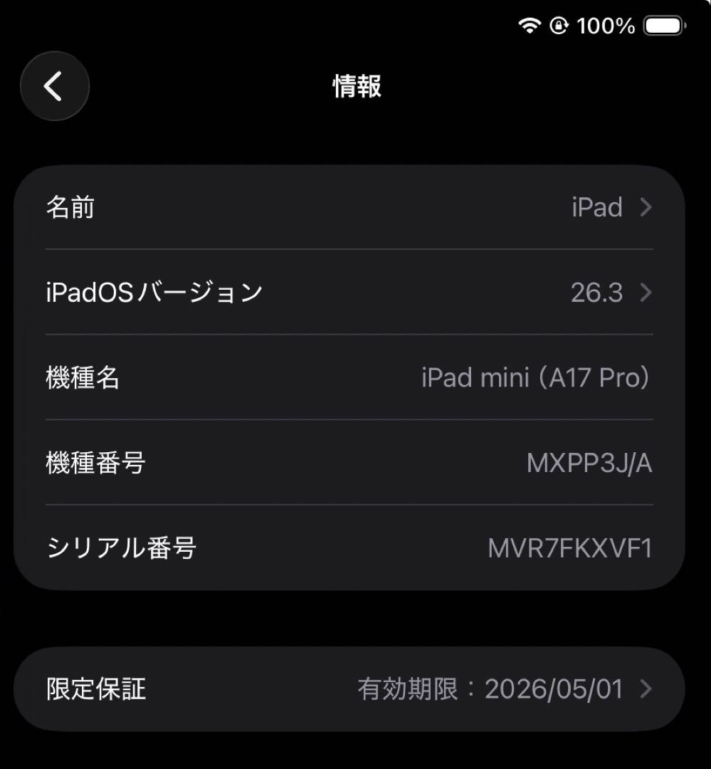iPad mini (第7世代/A17 Pro) 128GB セルラーモデル