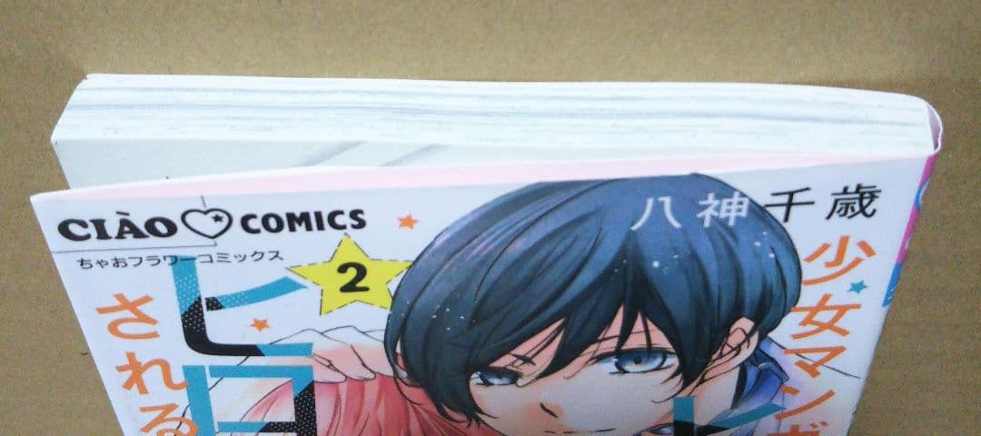 【サイン本】少女マンガのヒーローになりたい… 2 八神 千歳 ②