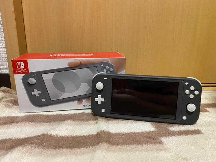 Nintendo Switch NINTENDO SWITCH LITE グレー