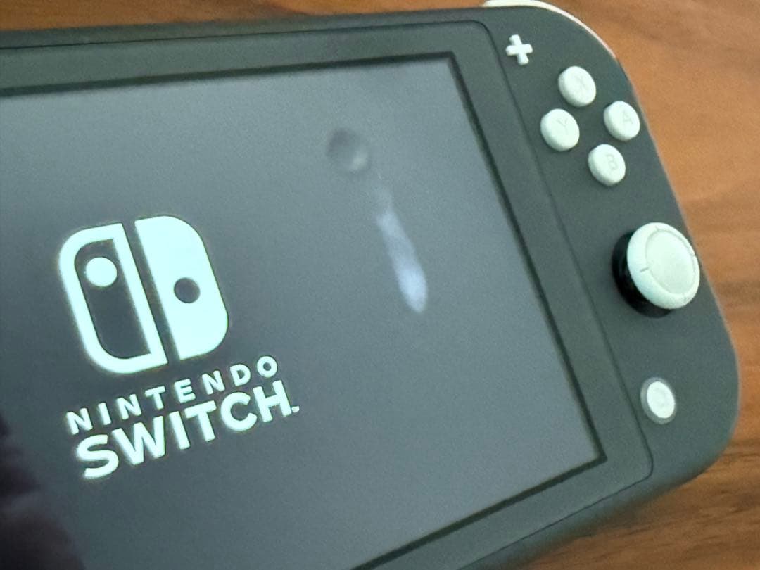（ジャンク品）動作確認済み　Nintendo Switch Lite グレー色