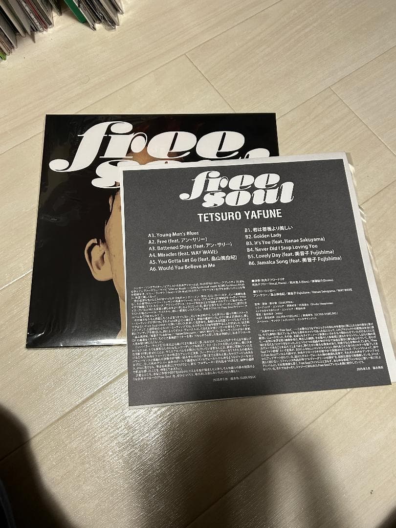 矢舟テツロー / free soul LPレコード 橋本徹 SUBURBIA