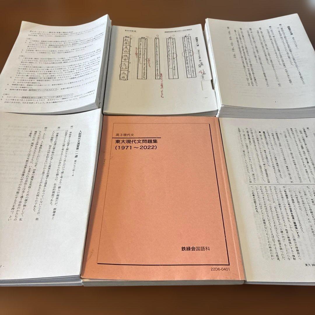 あ*る様 鉄緑会 東大現代文問題集(2022) 通年フルセット 恩田講師