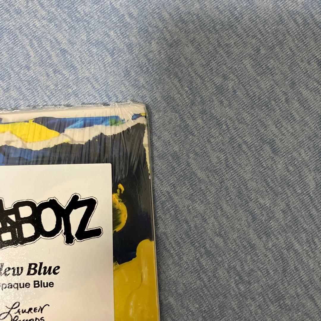 銀杏Boyzぶるぶる ブルー・ヴァイナル仕様 LP レコード 新品未使用品