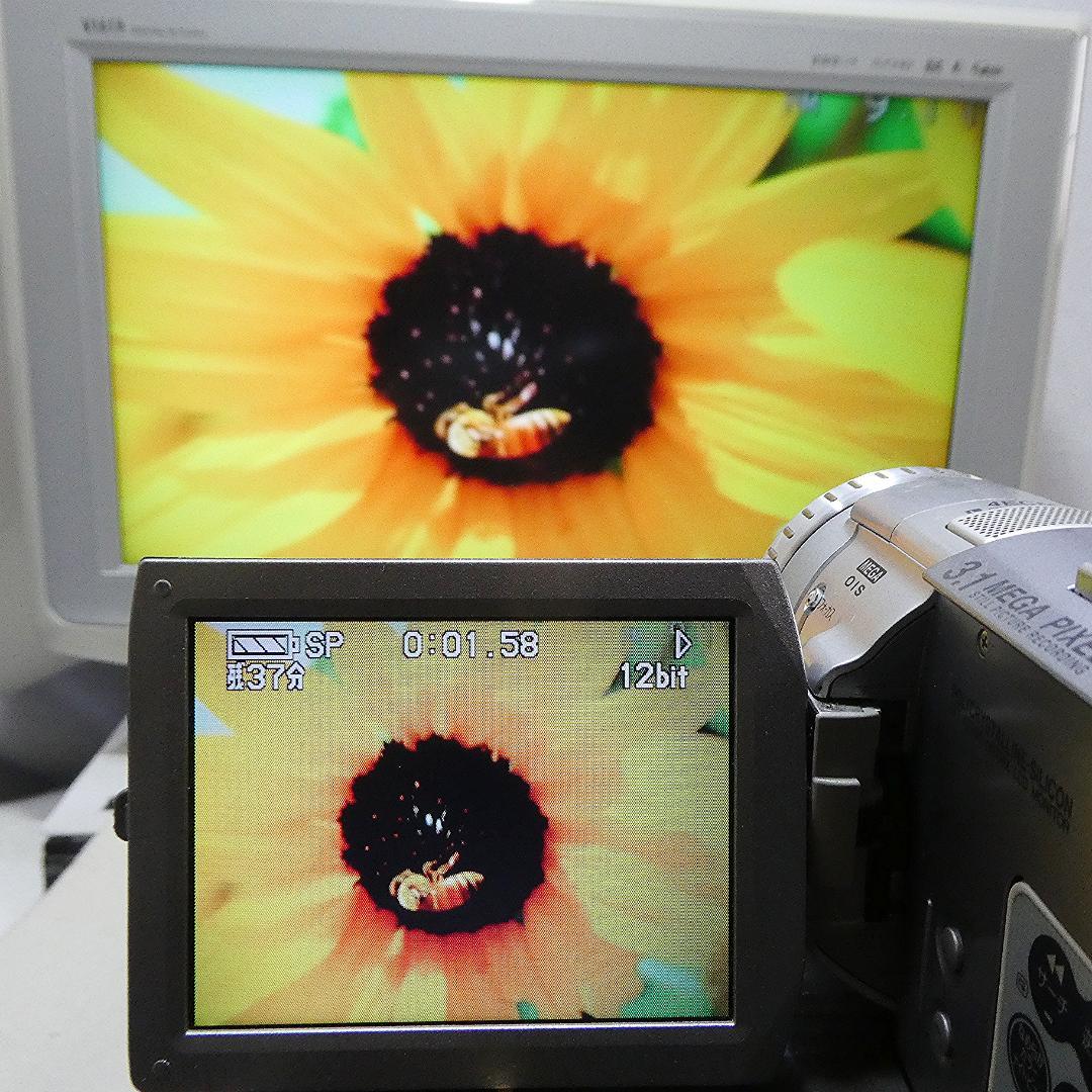 パナソニック NV-GS100 【動作良好】MiniDVビデオ　ダビングに最適