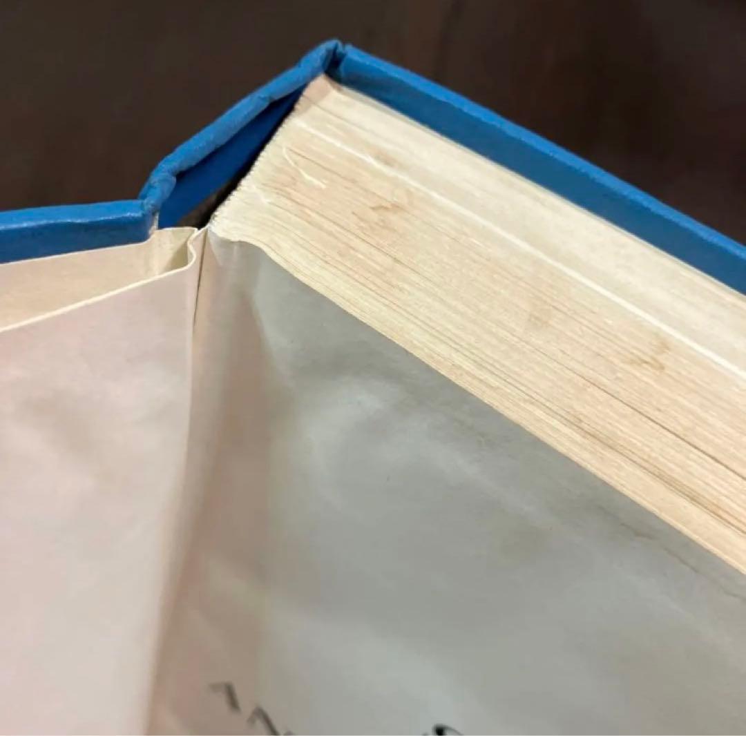 古書　大型本　洋書「イギリス空軍の戦闘機隊とその航空機」