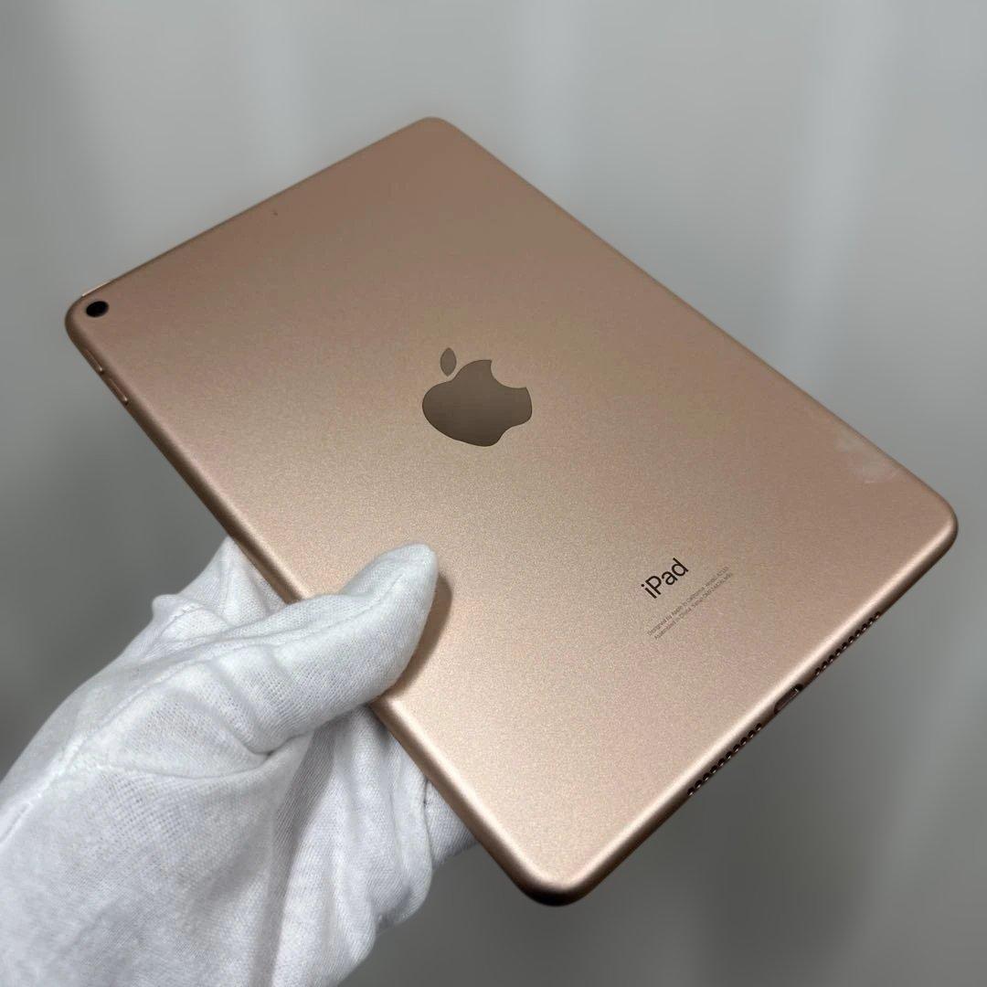iPad mini5 64GB Wifiモデル バッテリー100%