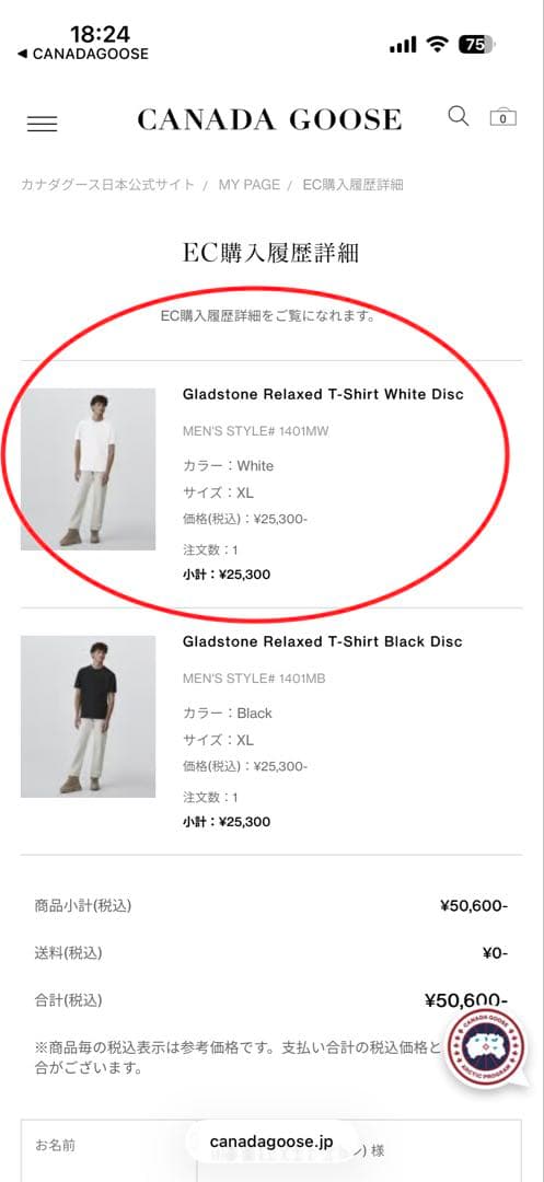 カナダグース   袖ロゴワッペン入りTシャツ XL